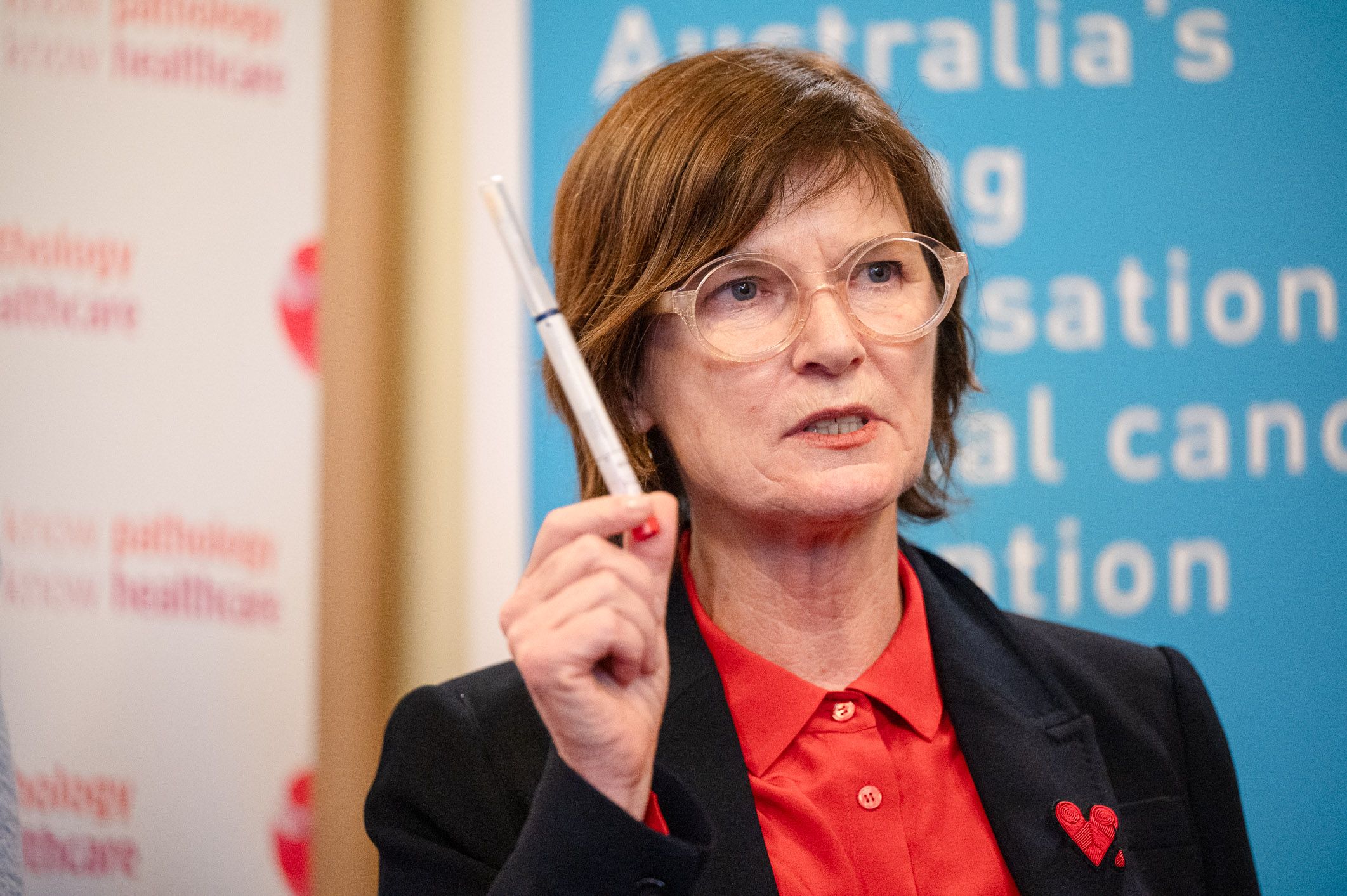 Victorian Health Minister Mary-Ann Thomas attended and spoke at the event
